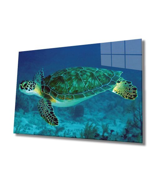 Deniz Kaplumbağası Cam Tablo  4mm Dayanıklı Temperli Cam, Sea Turtle Glass Wall Art