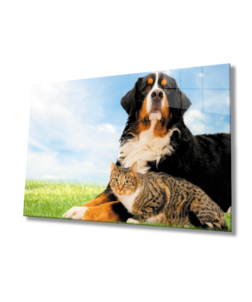 Kedi Köpek Cam Tablo  4mm Dayanıklı Temperli Cam