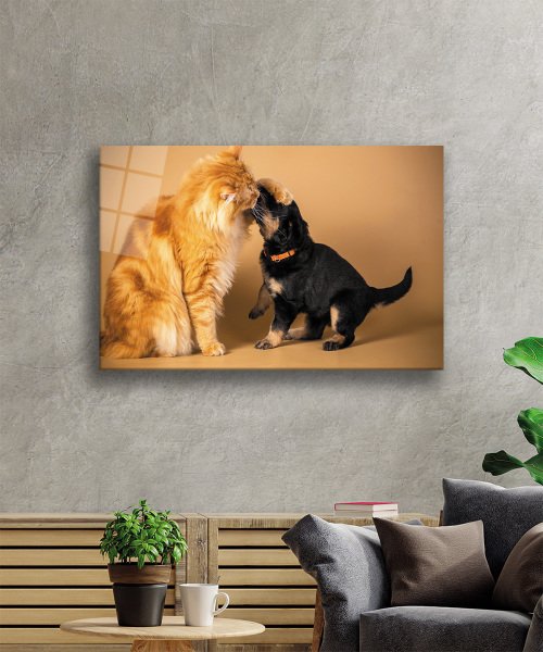 Kedi  Köpek Cam Tablo  4mm Dayanıklı Temperli Cam
