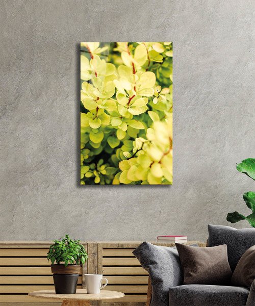 Sarı Yeşil Yapraklar Bitki Cam Tablo  4mm Dayanıklı Temperli Cam, Green Yellow Nature Glass Wall Decor