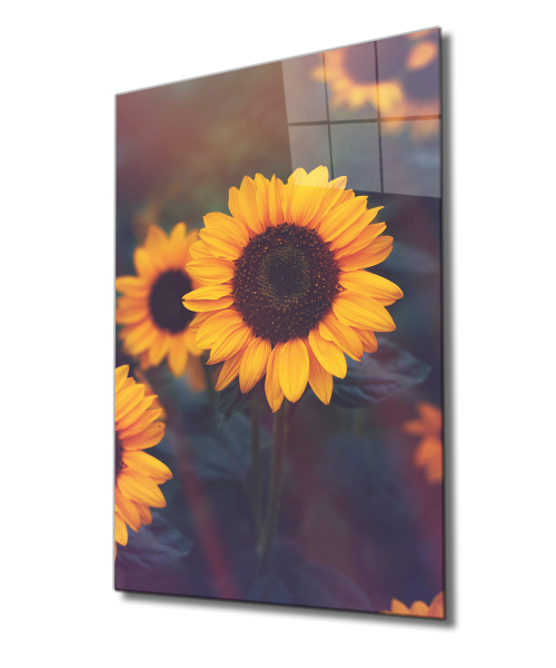 Ayçiçeği Cam Tablo  4mm Dayanıklı Temperli Cam, Sunflower Glass Wall Decor