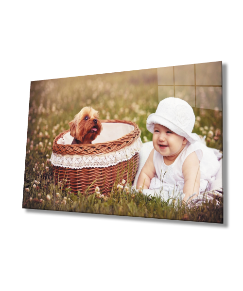 Bebek ve Köpek Cam Tablo  4mm Dayanıklı Temperli Cam
