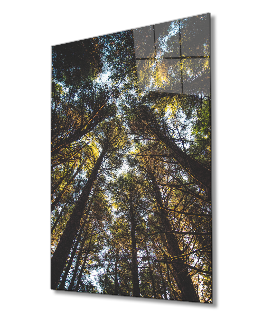 Ağaçlar Cam Tablo 4mm Dayanıklı Temperli Cam Trees Glass Painting