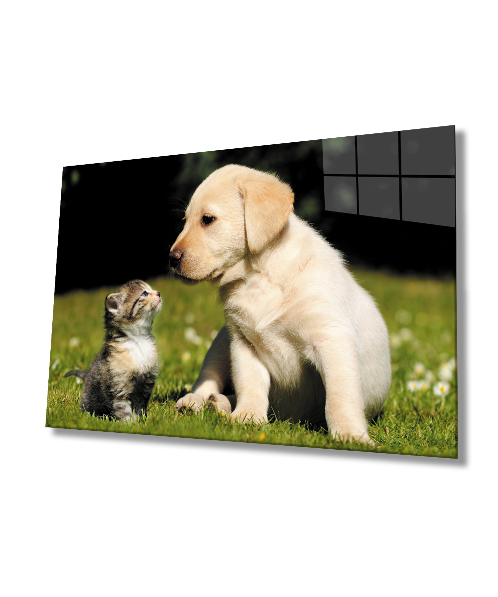 Kedi Köpek Cam Tablo  4mm Dayanıklı Temperli Cam