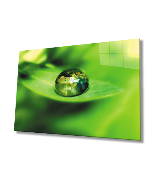 Su Damlası Yeşil Yaprak Cam Tablo  4mm Dayanıklı Temperli Cam Water Drop Green Leaf Glass Wall Art