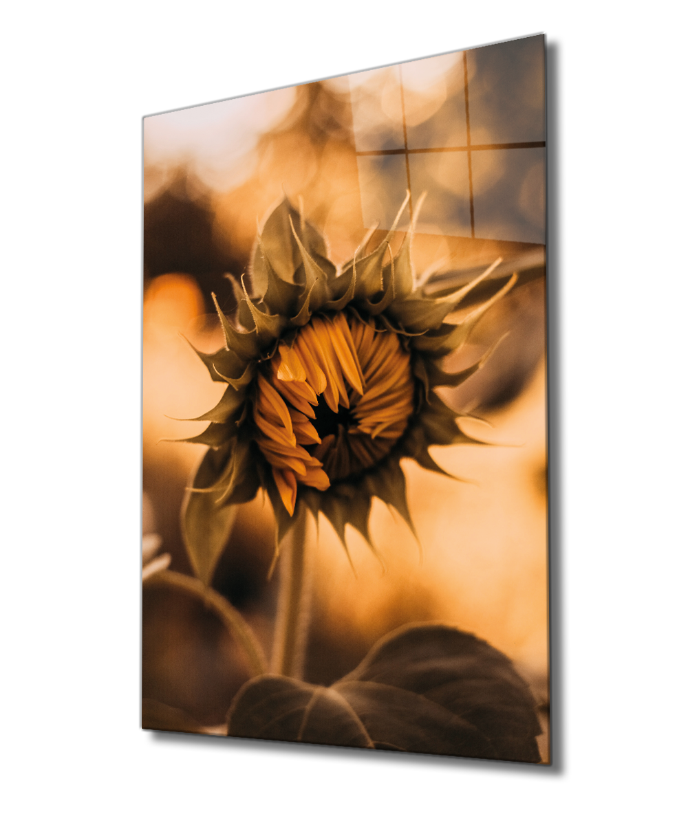 Ayçiçeği Cam Tablo  4mm Dayanıklı Temperli Cam, Sunflower Glass Wall Decor