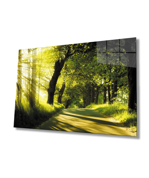 Gün Batımı Orman Manzara Yeşil Cam Tablo  4mm Dayanıklı Temperli Cam Sunset Forest Green Landscape Glass Wall Art