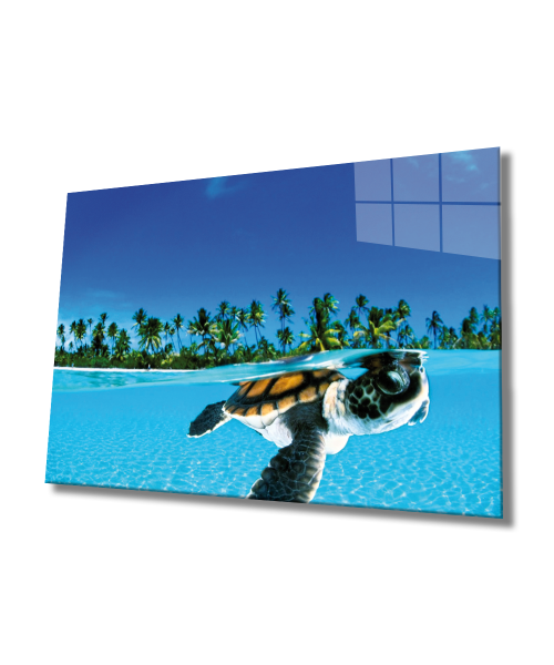 Deniz Kaplumbağası Cam Tablo  4mm Dayanıklı Temperli Cam, Sea Turtle Glass Wall Art