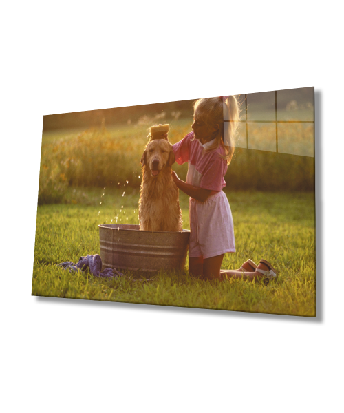 Köpek ve Çocuk Cam Tablo  4mm Dayanıklı Temperli Cam