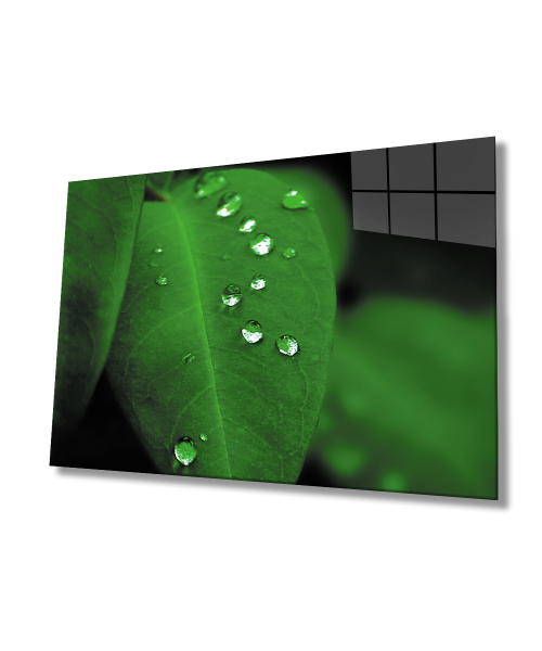 Su Damlaları Yeşil Yaprak Cam Tablo  4mm Dayanıklı Temperli Cam Water Drop Green Leaf Glass Wall Art