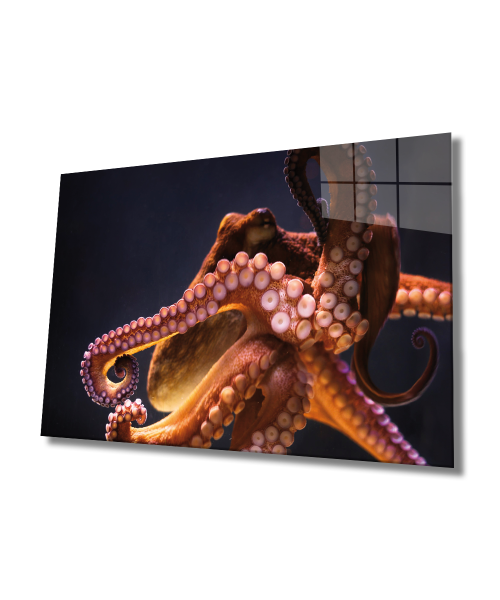 Ahtapot Sualtı Canlıları Cam Tablo  4mm Dayanıklı Temperli Cam, 	Octopus  Glass Wall art