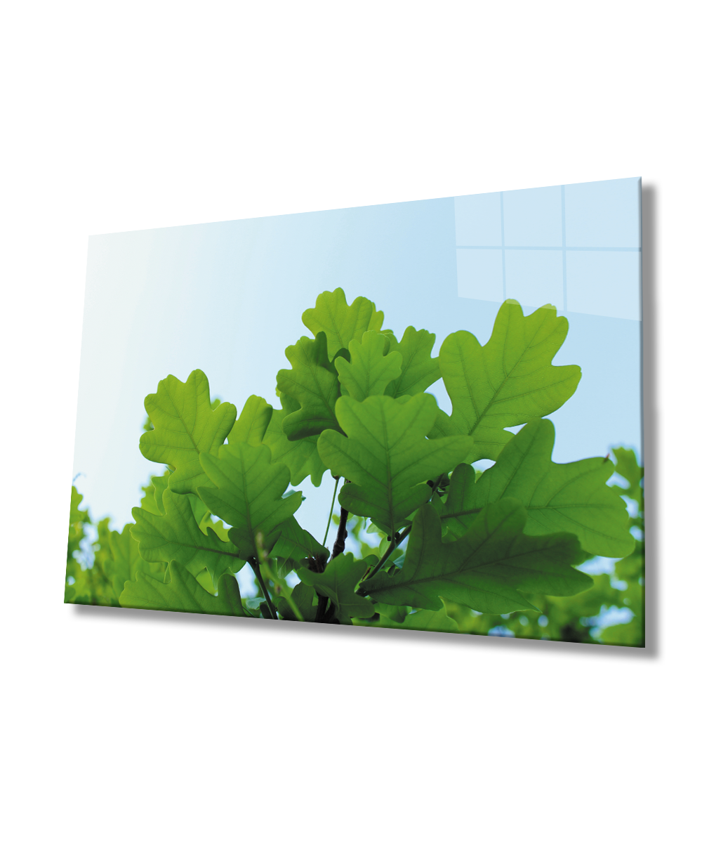Yeşil Yapraklar  Cam Tablo  4mm Dayanıklı Temperli Cam Green Leaves Glass Wall Art