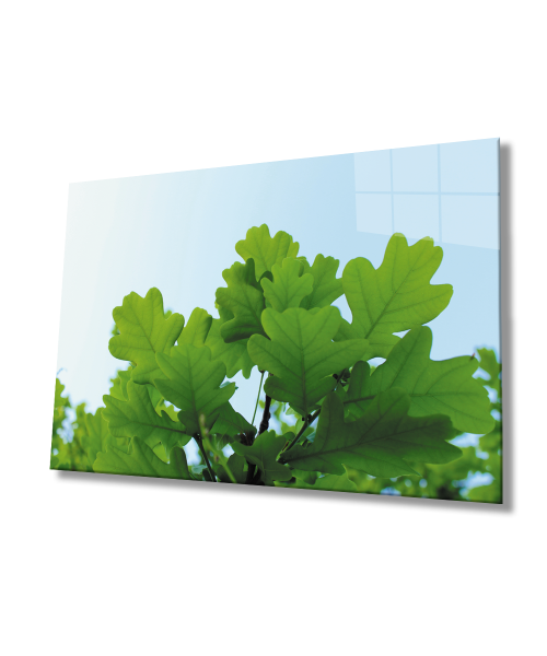Yeşil Yapraklar  Cam Tablo  4mm Dayanıklı Temperli Cam Green Leaves Glass Wall Art