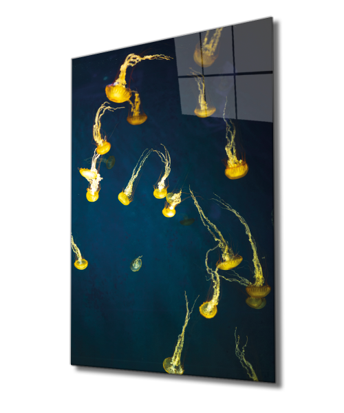 Sarı Denizanası Cam Tablo  4mm Dayanıklı Temperli Cam, Yellow Jellyfish Glass Wall Art