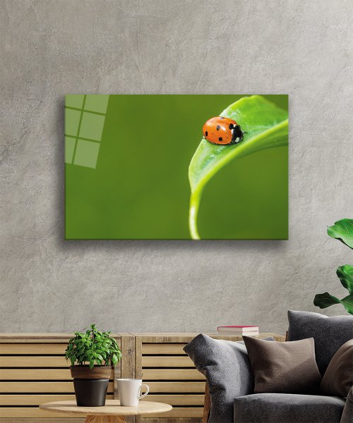 Uğurböceği Yaprak  Yeşil Cam Tablo  4mm Dayanıklı Temperli Cam  Ladybug Green Leaf Glass Wall Art
