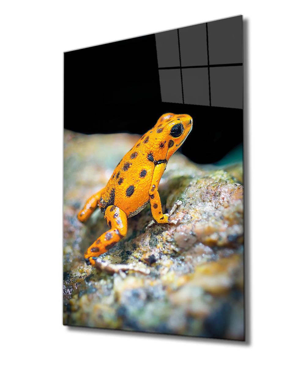 Sarı Kurbağa Cam Tablo  4mm Dayanıklı Temperli Cam, Yellow Frog Glass Wall Decor