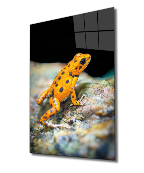 Sarı Kurbağa Cam Tablo  4mm Dayanıklı Temperli Cam, Yellow Frog Glass Wall Decor