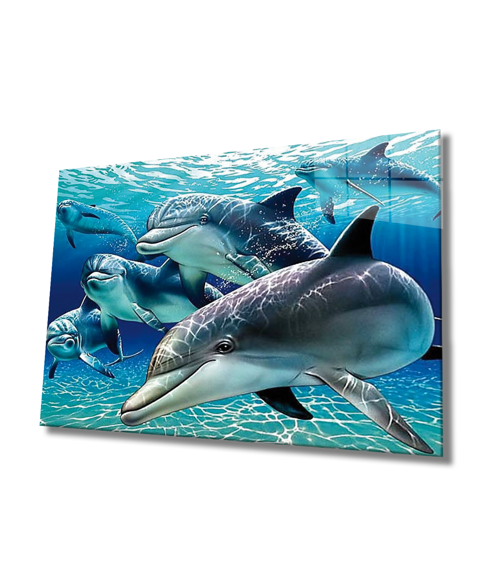 Yunus Balığı Cam Tablo  4mm Dayanıklı Temperli Cam, Dolphin Glass Wall Art