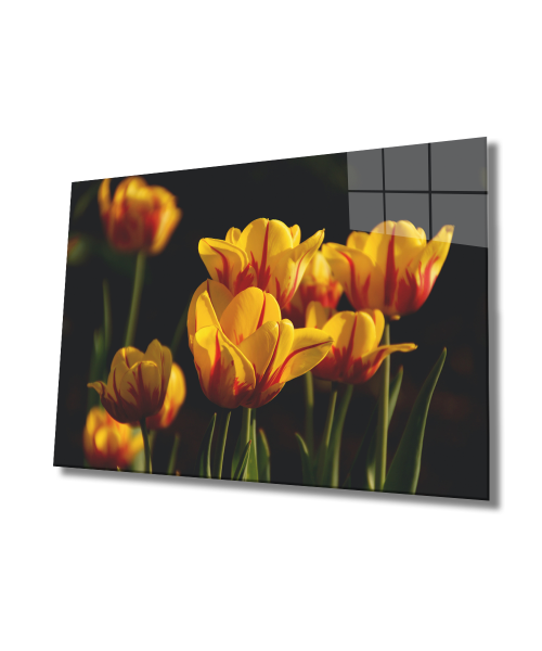 Sarı Lale Cam Tablo  4mm Dayanıklı Temperli Cam, Yellow Flowers Glass wall Decor