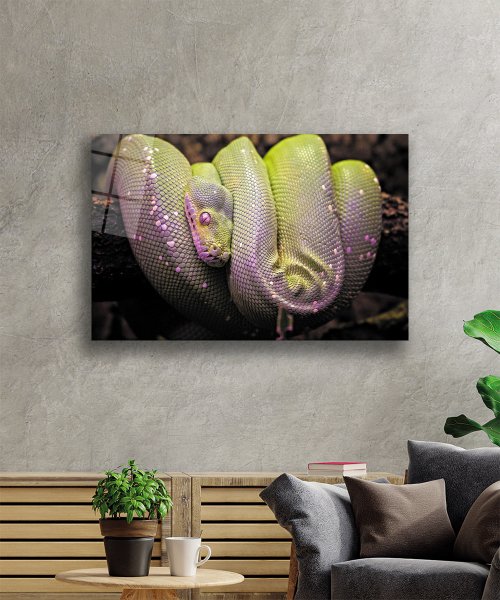 Sarı Yeşil Yılan Hayvan Cam Tablo  4mm Dayanıklı Temperli Cam Yellow Green Snake Animal Glass Wall Art