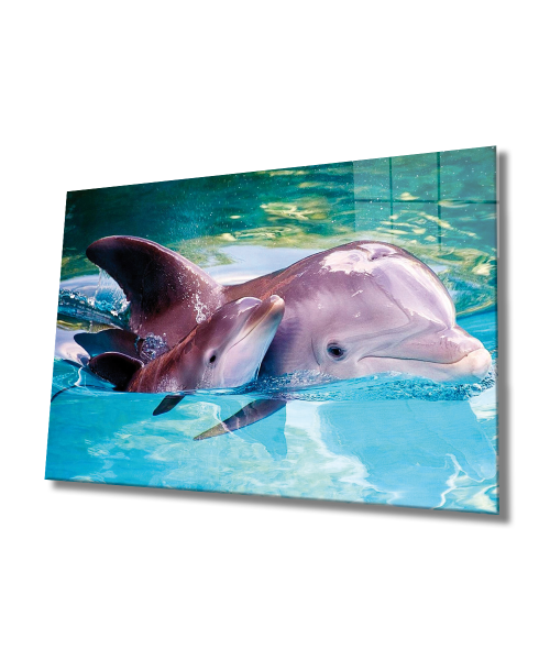 Yunus Balığı Cam Tablo  4mm Dayanıklı Temperli Cam, Dolphin Glass Wall Art