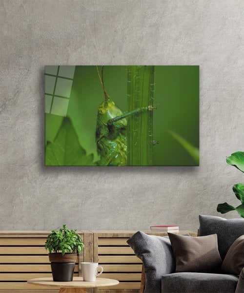 Yeşil Hayvan Çekirge Cam Tablo  4mm Dayanıklı Temperli Cam  Yeşil Hayvan Çekirge  Glass Wall Art