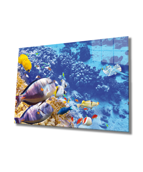 Renkli Balıklar  Cam Tablo  4mm Dayanıklı Temperli Cam, Colorful Fishes Wall Glass Art