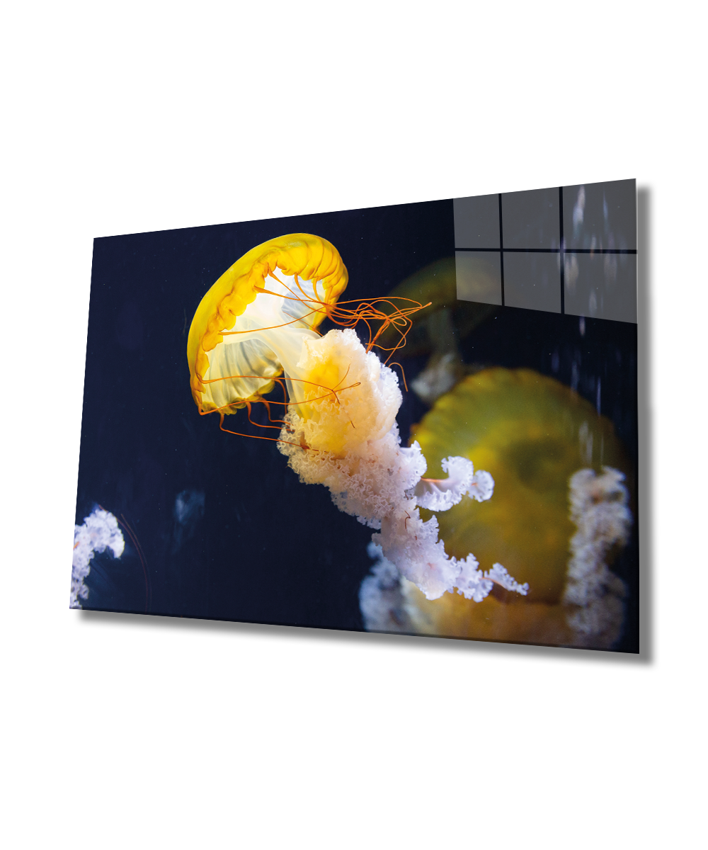 Sarı Denizanası Cam Tablo  4mm Dayanıklı Temperli Cam, Yellow Jellyfish Glass Wall Art