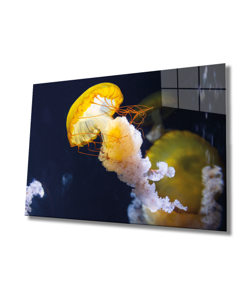 Sarı Denizanası Cam Tablo  4mm Dayanıklı Temperli Cam, Yellow Jellyfish Glass Wall Art