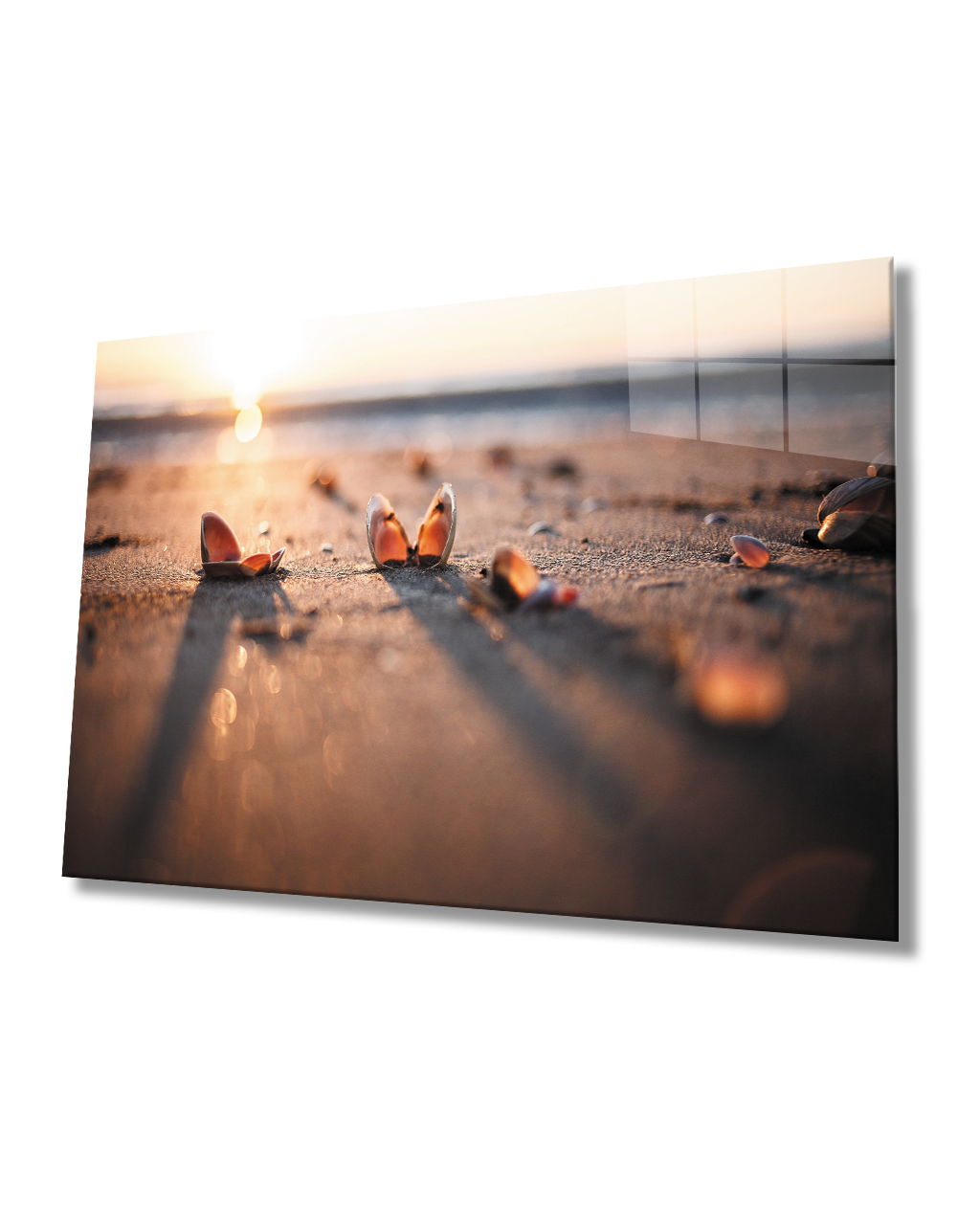 Sahilde Deniz Kabukları Gün Batımı Cam Tablo  4mm Dayanıklı Temperli Cam Seashells Sunset On The Beach Glass Painting 4mm Durable Tempered Glass