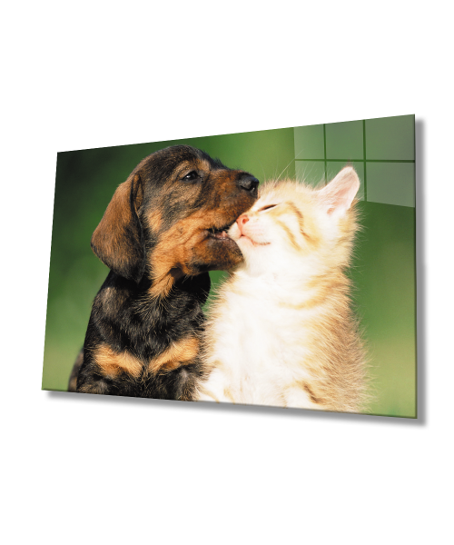 Kedi ve  Köpek Cam Tablo  4mm Dayanıklı Temperli Cam
