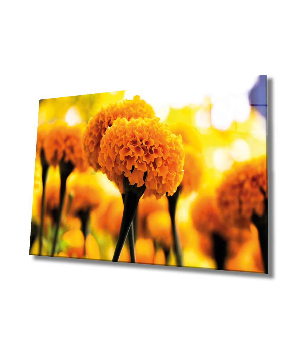 Sarı Çiçek Cam Tablo  4mm Dayanıklı Temperli Cam, Yellow Glass Wall Decor