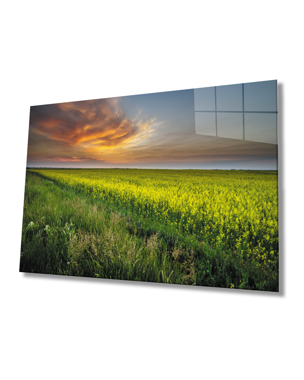 Gün Batımında Çiçek Tarlası Manzaralı Cam Tablo  4mm Dayanıklı Temperli Cam Glass Table With Flower Field View At Sunset 4mm Durable Tempered Glass