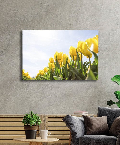 Sarı Lale Cam Tablo  4mm Dayanıklı Temperli Cam, Yellow Flowers Glass wall Decor