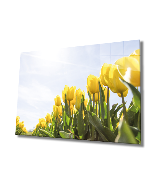 Sarı Lale Cam Tablo  4mm Dayanıklı Temperli Cam, Yellow Flowers Glass wall Decor