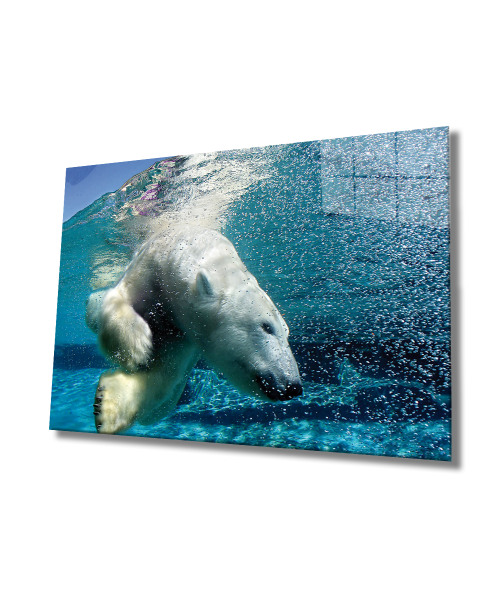 Beyaz Ayı Cam Tablo  4mm Dayanıklı Temperli Cam, White Bear In Sea Glass Wall Art