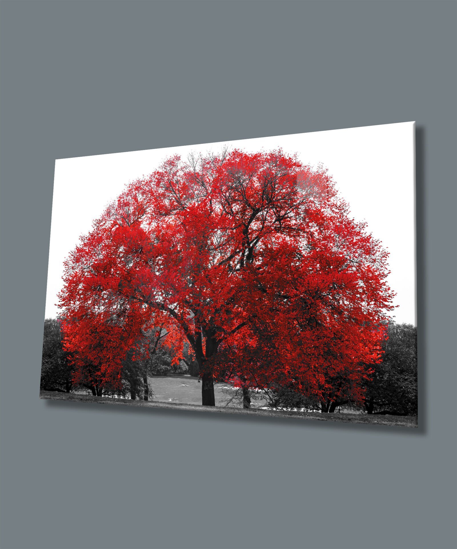 Kırmızı Ağaç Manzara Cam Tablo Hediyelik Büyük Tablo Ev Ofis Dekoru