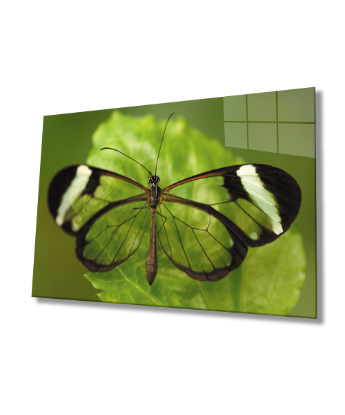 Yeşil Yaprak Kelebek  Cam Tablo  4mm Dayanıklı Temperli Cam  Green Leaf Butterfly Glass Wall Art