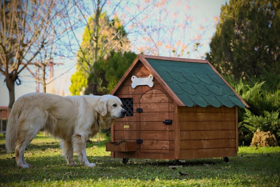 Köpek Kulübesi Nasıl Seçilir? Cinsine Göre Öneriler