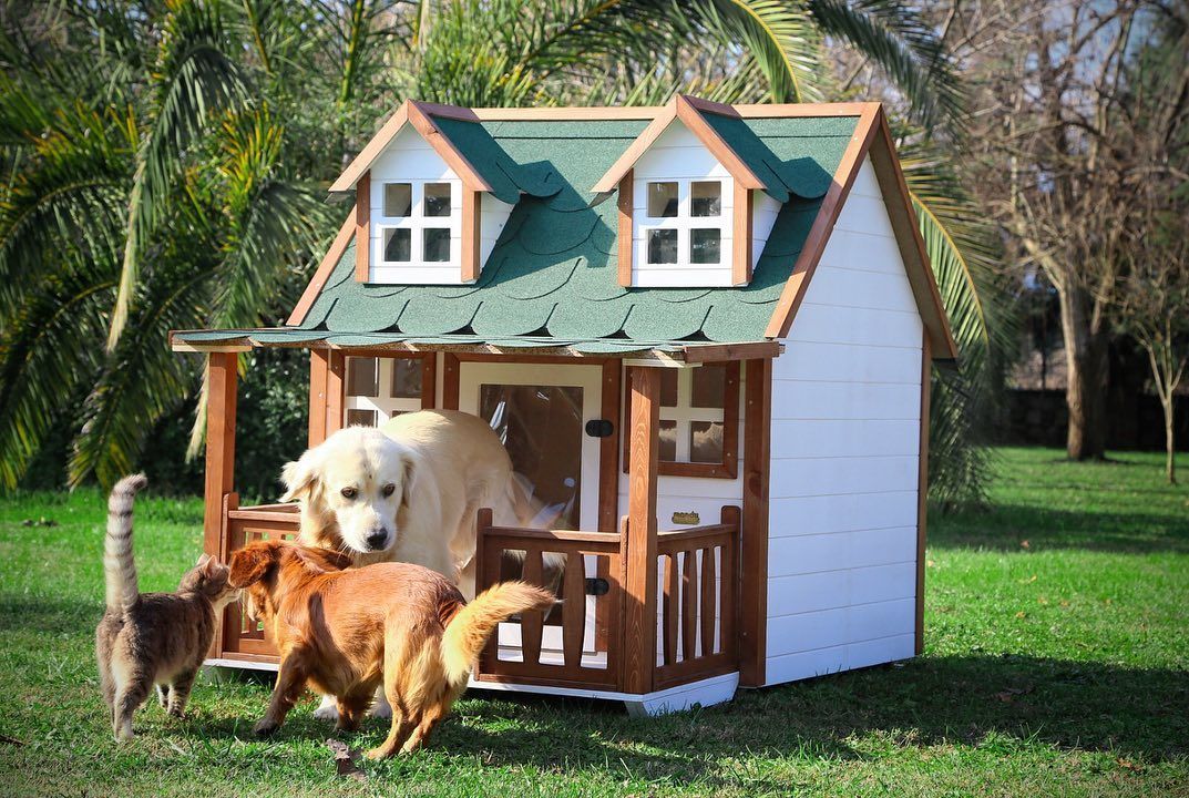 Köpek Kulübesine Nasıl Alıştırılır?