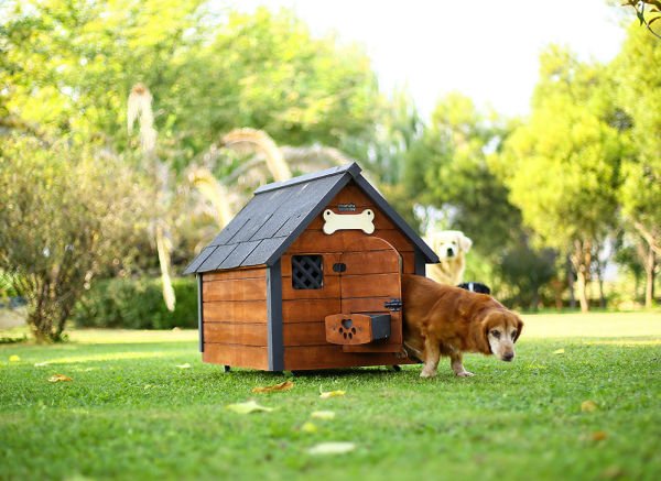 Isı yalıtımlı ahşap köpek kulübesi ''MEDIUM''