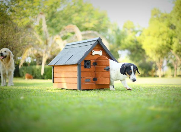 Isı yalıtımlı ahşap köpek kulübesi ''SMALL''