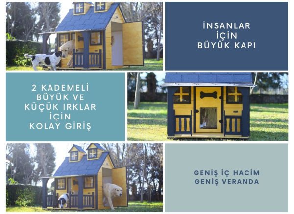 Ultra Lüks Ahşap Köpek Kulübesi (evi) GOLD EDİTİON