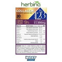 Tip 1, 2, 3 Kolajen (Collagen) Karışımı Kivi Aromalı Saşe 30 Saşe x 11 Gram
