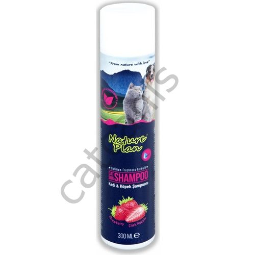 Nature Plan Çilek Kokulu Şampuan 300 ml