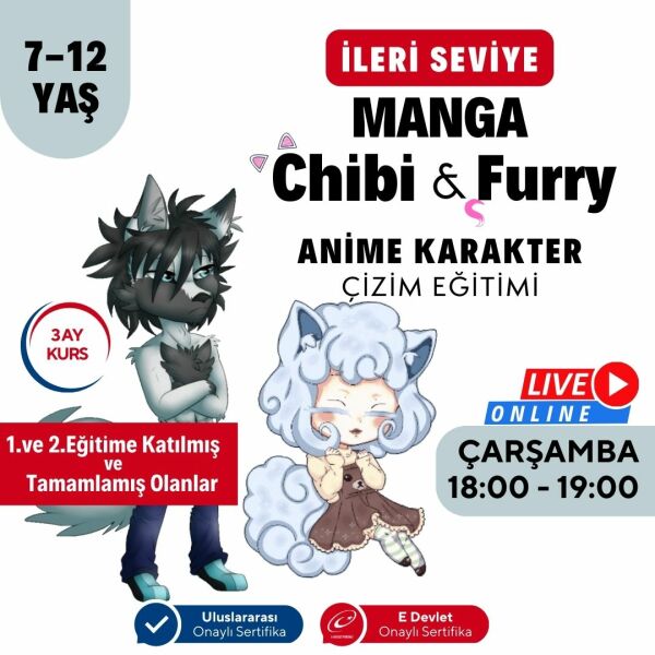 Chibi & Furry Çizim Eğitimi (7-12 Yaş)(İleri Seviye)