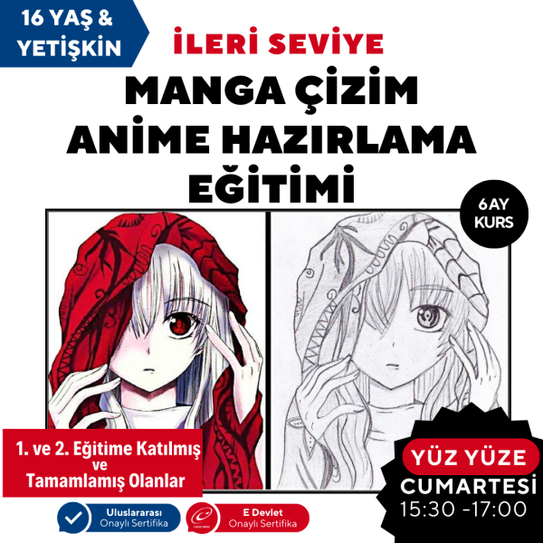 Manga Çizim Ve Anime Hazırlama Eğitimi(İleri Seviye) -Yüz Yüze ( + 16 ve Yetişkin)