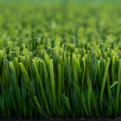 Non-Infill Grass