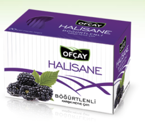 Ofçay Halisane Böğürtlen Çayı