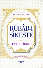 RÜBAB-I ŞİKESTE